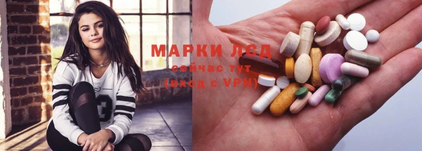ГАЛЛЮЦИНОГЕННЫЕ ГРИБЫ Кулебаки