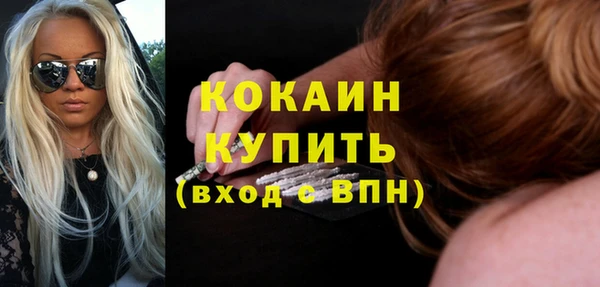 хмурый Лагань