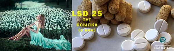 ГАЛЛЮЦИНОГЕННЫЕ ГРИБЫ Кулебаки