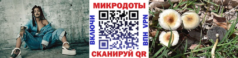 Псилоцибиновые грибы мицелий  Цивильск 